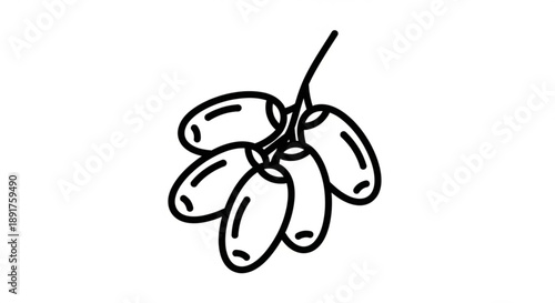 Dried date palm fruits hanging from stem illustration of cluster simple line art