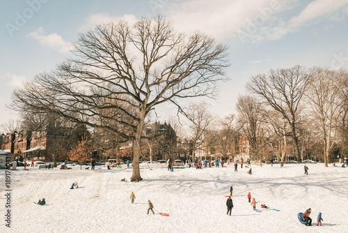фотографія People sledding at Clark Park, West Philadelphia, Pennsylvania