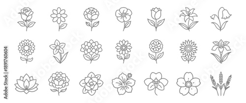Collection of graceful flower icons featuring elegant floral designs and petal arrangements symbolizing nature beauty and botanical diversity for artistic embellishments vector art