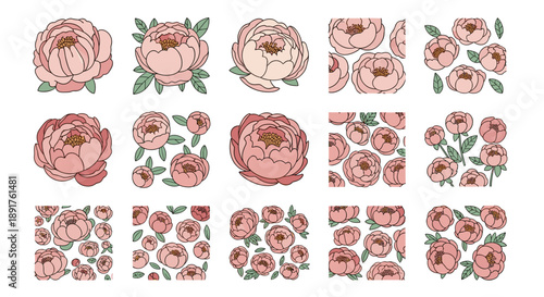 Set of pink and peach roses in various arrangements and styles