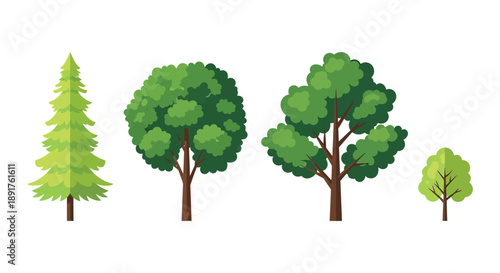 Four stylized trees a pine two broadleafs and a small tree