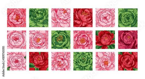 Collection of pink and red roses with green leaves floral