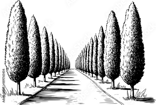 Silhouette of a woman with long flowing hair and a dress a white background female