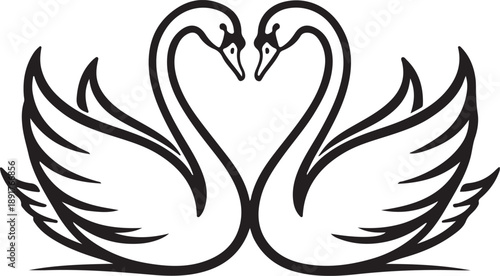 Two swans forming a heart shape with their necks black outline on white background