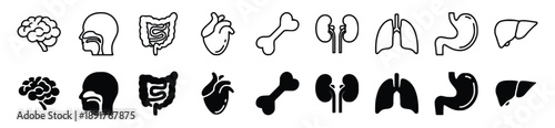Human internal organs icon collection featuring brain heart lungs stomach liver kidneys intestines and bone in line and silhouette styles for medical education and healthcare related design work