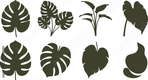 Tropical monstera leaves and plant silhouette collection for summer jungle design element isolated on transparent background