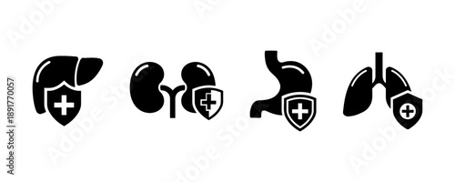 Organ protection icons set liver kidney stomach lungs shield with cross symbol healthcare medical concept graphic illustration vector isolated white background