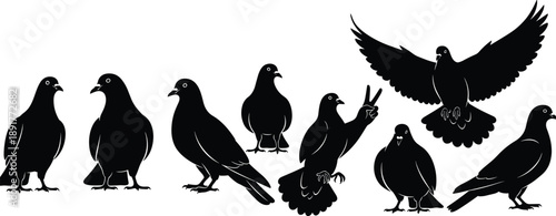 Pigeon silhouette group, black birds, peace gesture, flying pose, sitting pigeons, urban wildlife, minimal design, humor, creative, vector art