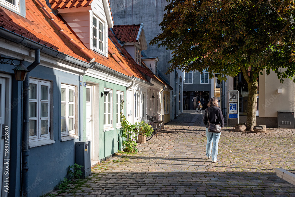 custom made wallpaper toronto digitalPicturesque small houses at Peder Barkes street in Aalborg