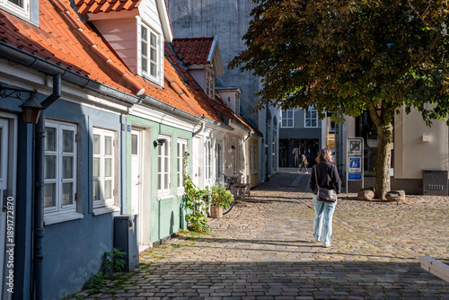 Wallpaper Mural Picturesque small houses at Peder Barkes street in Aalborg Torontodigital.ca