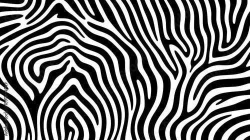Black and white zebra stripe pattern abstract background zebra stripes animal print texture
