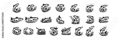 Trout Fishing Illustration Set – Vintage Engraving Style Trout with Splash Designs