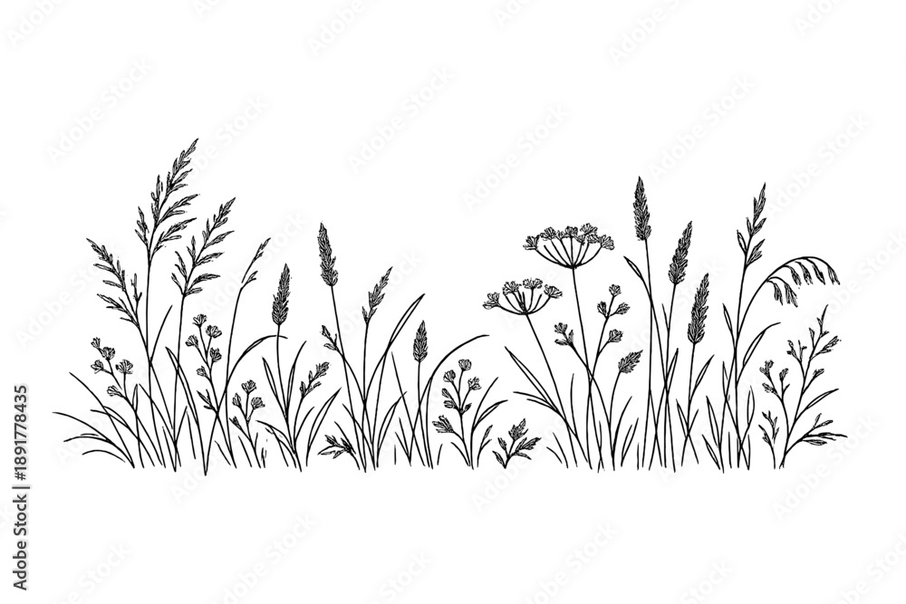 Fototapeta premium Minimalist hand drawn wild meadow grass and flowers line art