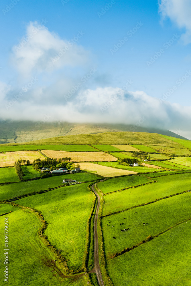 Fototapeta premium Aerial view of endless lush pastures and farmlands of Ireland's