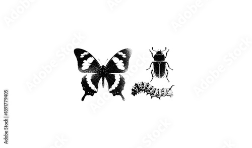 Y2K photocopy insect collage butterfly beetle caterpillar vector