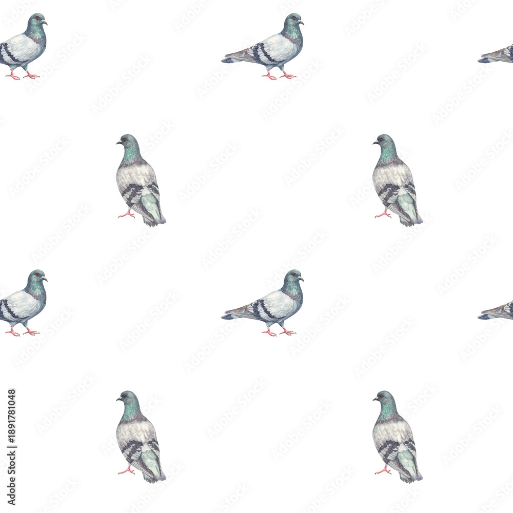 Obraz premium Watercolor seamless pattern with hand painted pigeons in soft gray and blue tones. Natural bird illustration for textiles, wallpapers, stationery, wrapping paper, and surface design.