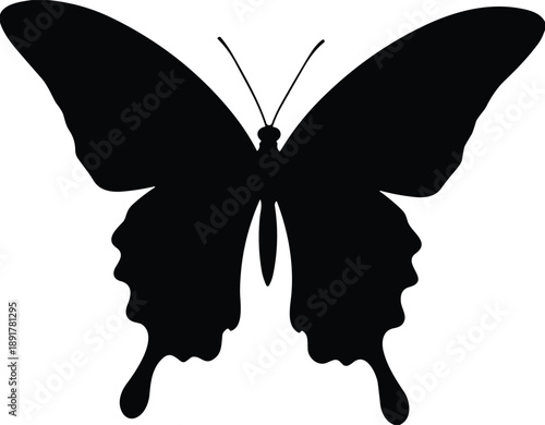 Black butterfly silhouette featuring detailed wings and antennae isolated on white background for nature, spring, garden, and decorative vector design