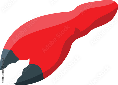 Red crab claw with dark tips, isolated on white background, represents seafood and crustaceans