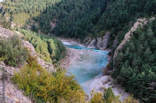 A river with a greenish blue color runs through a forest