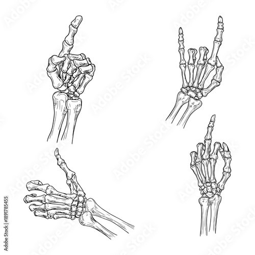 Skeleton hand in a heavy metal gesture, black and white sketch. Vector illustration. Drawing in simple style, set isolated on white background. Suitable for labels, Halloween signs. 