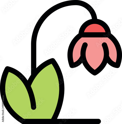 Pink bellflower with green leaves bending over, representing fragility and grace