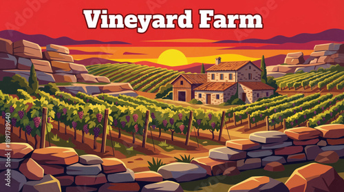 Vineyard farm illustration vector on rolling hills with grapevines, representing wine production, traditional agriculture, and premium rural landscape.