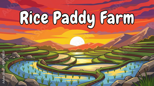 Rice paddy farm illustration with flooded fields, showing traditional irrigation, sustainable rice cultivation, and agricultural landscape.