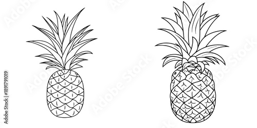 A single, svelte pineapple corer, minimalist line art