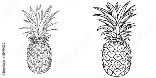 Elegant Line Art of a Pineapple Slicer: A Minimalistic Approach to Fruit Illustration