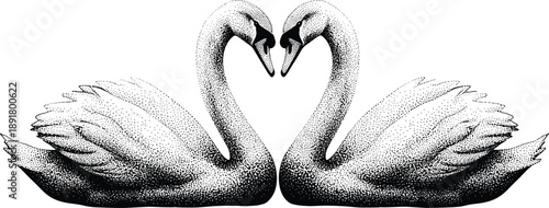 Romantic swan pair illustration in black and white, elegant halftone birds forming heart shape, symbol of love, unity, and devotion