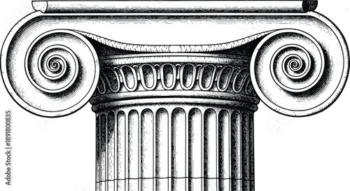 Classical Ionic column capital illustration in black and white, ancient Greek architecture detail with spiral volutes, timeless historical design element