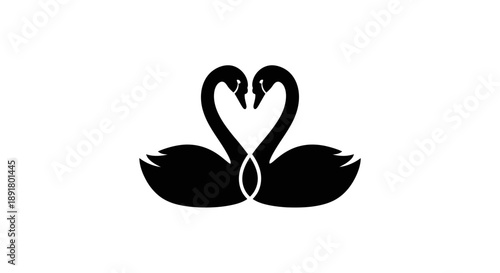 Two swans forming a heart shape with their necks.