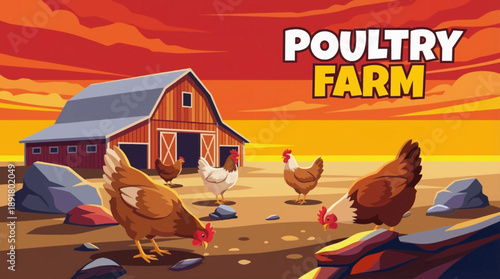 Free range poultry farm illustration vector with chickens outdoors, highlighting ethical farming, egg production, and sustainable livestock agriculture.