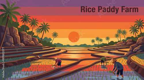 Rice paddy farm illustration with flooded fields, showing traditional irrigation, sustainable rice cultivation, and agricultural landscape.