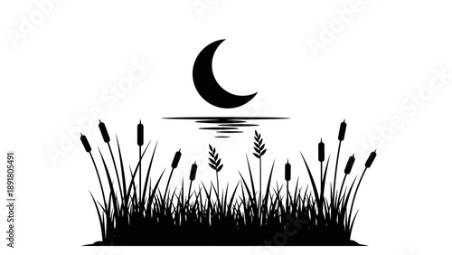 Serene Night Scene with Cattails and Crescent Moon.
