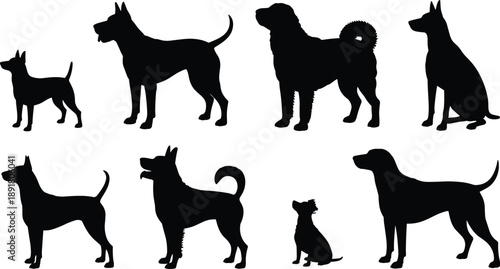 Set of dog silhouettes in various breeds and poses including standing and sitting, isolated on white background, domestic pet animal illustration collection