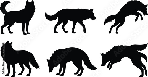 Set of wolf silhouettes in different poses including standing, walking and jumping, isolated on white background, wild animal illustration collection