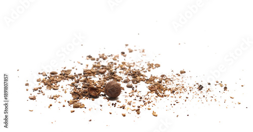Φωτογραφία Allspice, pimento spice, Jamaican pepper, pile shavings isolated on white backgr
