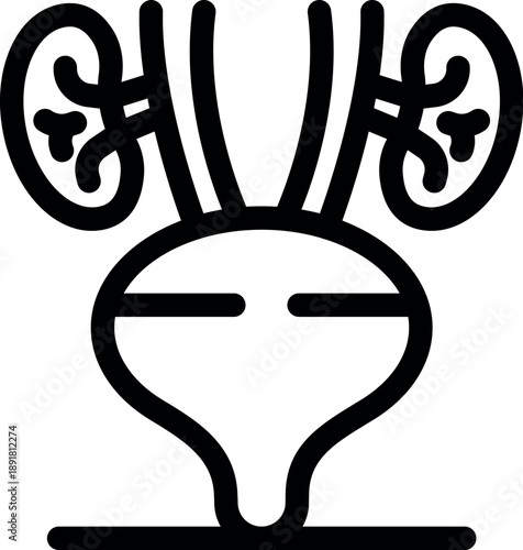 Maintaining proper body fluid balance is crucial for overall health, and kidneys play a vital role in regulating this balance