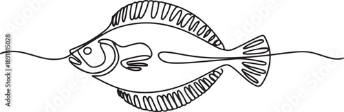 flounder fish continuous one line drawing.one line vector illustration with out background