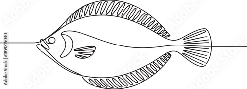 flounder fish continuous one line drawing.one line vector illustration with out background
