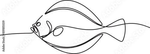 flounder fish continuous one line drawing.one line vector illustration with out background