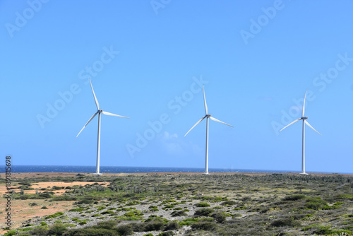 Tableau sur toile Windmills Along the Rural Coast of Aruba