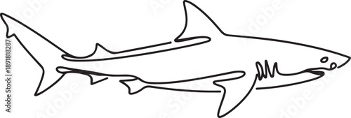 Continuous one line drawing of shark in the ocean.one line vector illustration with out background