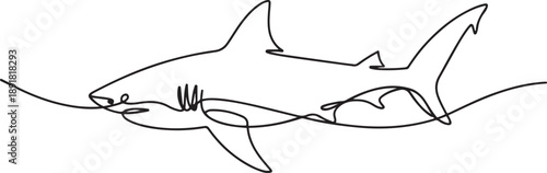 Continuous one line drawing of shark in the ocean.one line vector illustration with out background