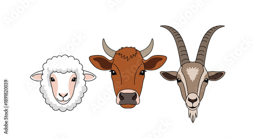 Frontal Portrait of Sheep Cow and Goat Heads Set Against White Background Detailed Vector Illustration