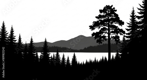 Silhouette of pine trees and mountains by a serene lake at dusk or dawn