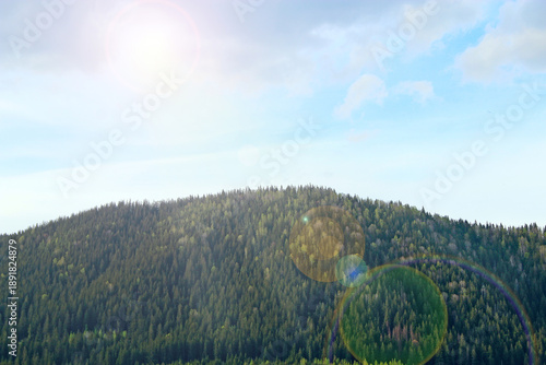 Sun shines over forested mountain. The Carpathian Mountains in sunlight