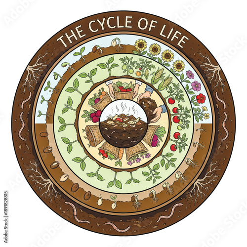 Educational illustration of the compost cycle. Shows how organic waste becomes nutrient-rich soil for growing healthy plants. Sustainable and eco-friendly.. Vector illustration