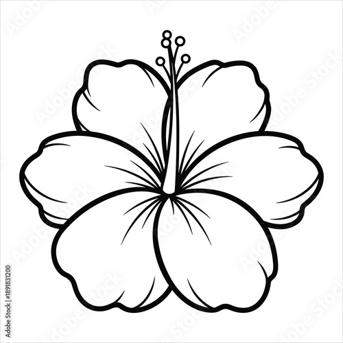 Hibiscus flower line art drawing for tropical themes